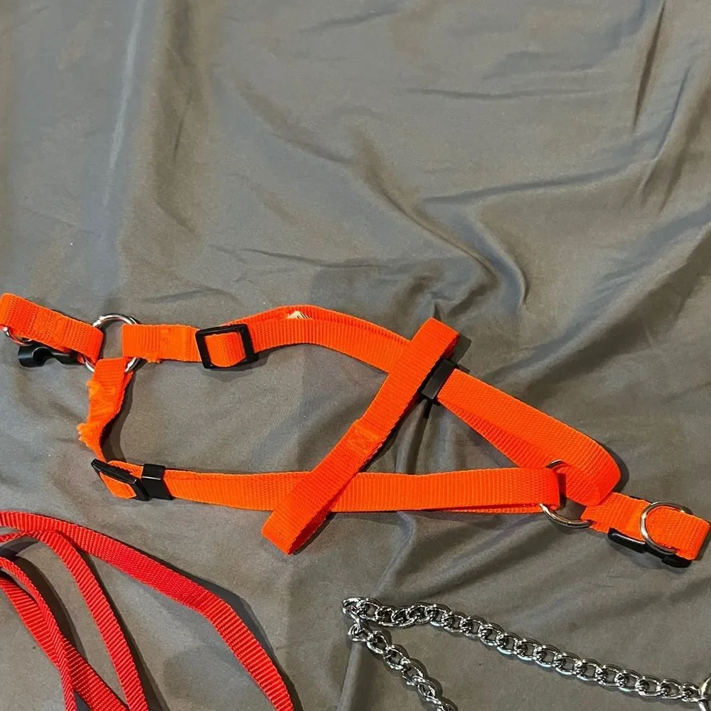 Lot of Pet Harness and Leash Set